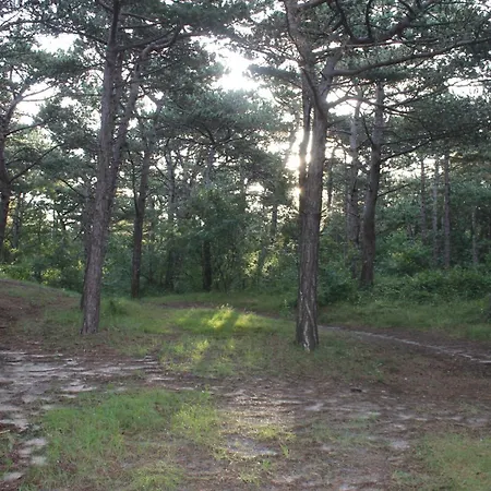 Bosch Duin Aparthotel