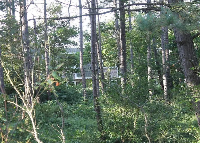 Bosch Duin Aparthotel 4*