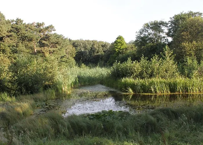 Aparthotel Bosch Duin Den Helder